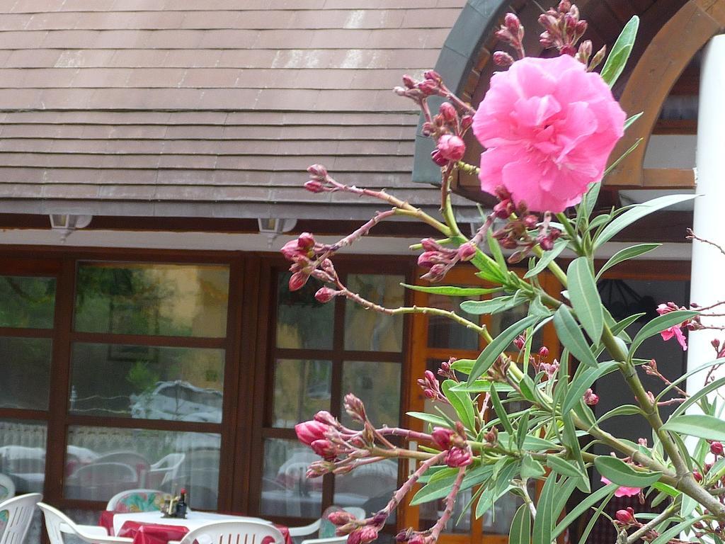 Oleander B&B Siófok Exterior foto